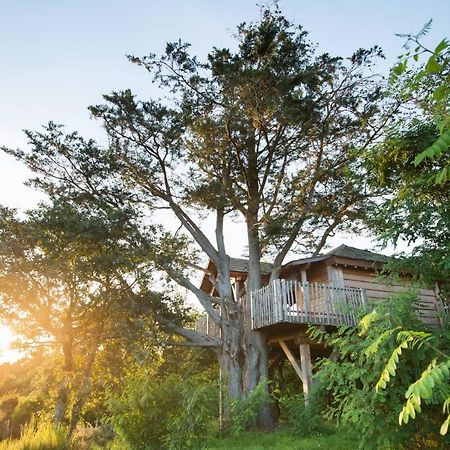 La Gree Des Landes - Eco-Hotel-Spa Yves Rocher La Gacilly Exteriör bild