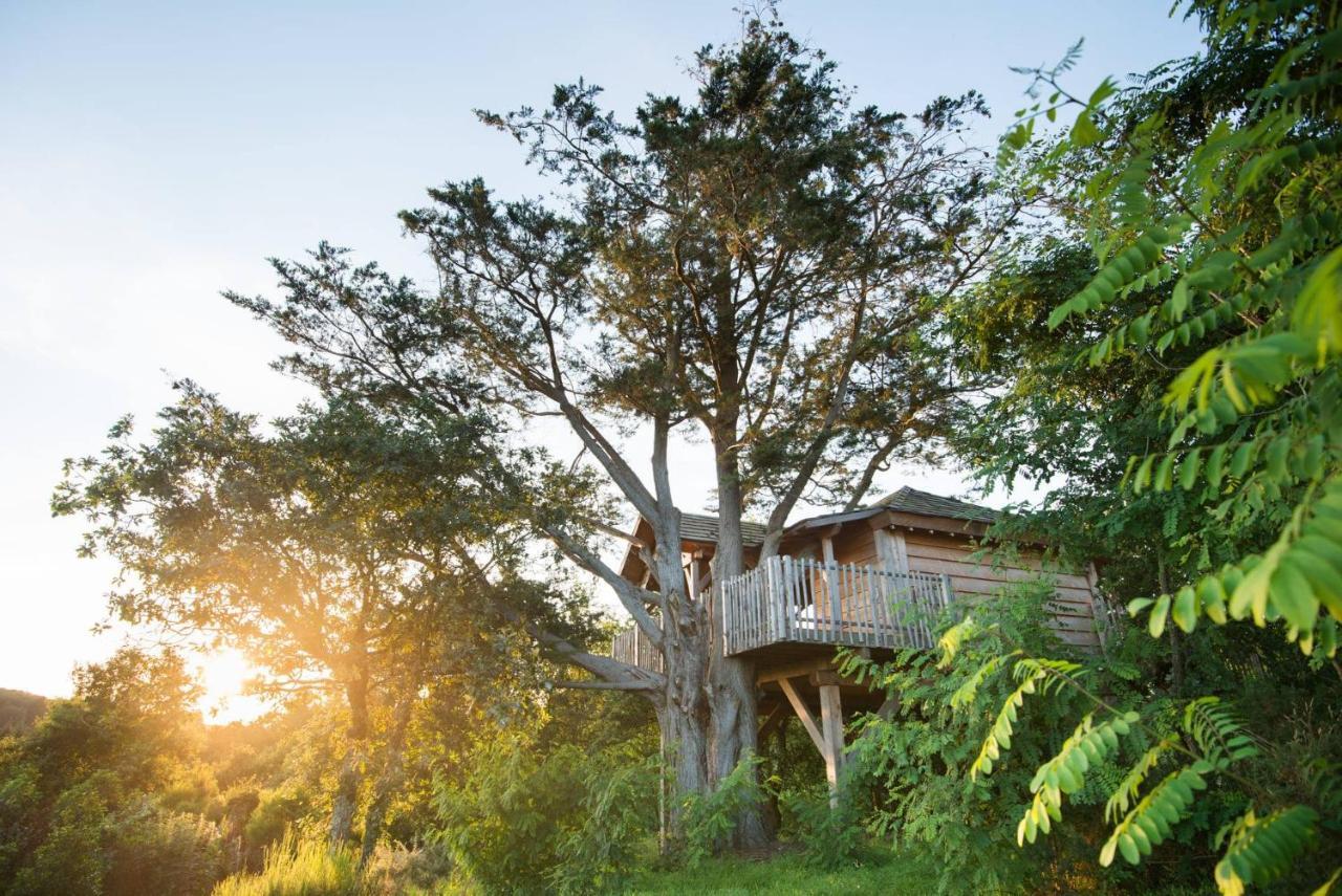 La Gree Des Landes - Eco-Hotel-Spa Yves Rocher La Gacilly Exteriör bild